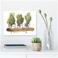 Picture of Splashed Cactus II  _GroupedProduct_Rectangle_Landscape_Unframed_Print_Only_