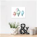 Picture of Seashells I  _GroupedProduct_Rectangle_Landscape_Unframed_Print_Only_