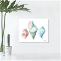 Picture of Seashells I  _GroupedProduct_Rectangle_Landscape_Unframed_Print_Only_