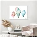Picture of Seashells I  _GroupedProduct_Rectangle_Landscape_Unframed_Print_Only_