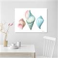 Picture of Seashells I  _GroupedProduct_Rectangle_Landscape_Unframed_Print_Only_