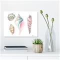 Picture of Seashells II  _GroupedProduct_Rectangle_Landscape_Unframed_Print_Only_