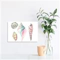 Picture of Seashells II  _GroupedProduct_Rectangle_Landscape_Unframed_Print_Only_