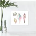 Picture of Seashells II  _GroupedProduct_Rectangle_Landscape_Unframed_Print_Only_