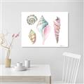 Picture of Seashells II  _GroupedProduct_Rectangle_Landscape_Unframed_Print_Only_