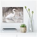 Picture of Wading Egret _GroupedProduct_Rectangle_Landscape_Unframed_Print_Only_