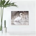 Picture of Wading Egret _GroupedProduct_Rectangle_Landscape_Unframed_Print_Only_