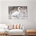 Picture of Wading Egret _GroupedProduct_Rectangle_Landscape_Unframed_Print_Only_