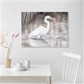 Picture of Wading Egret _GroupedProduct_Rectangle_Landscape_Unframed_Print_Only_