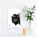 Picture of Sketched Bison _GroupedProduct_Rectangle_Portrait_Unframed_Print_Only_