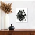 Picture of Sketched Bear _GroupedProduct_Rectangle_Portrait_Unframed_Print_Only_