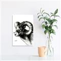 Picture of Sketched Ram _GroupedProduct_Rectangle_Portrait_Unframed_Print_Only_