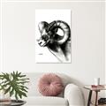 Picture of Sketched Ram _GroupedProduct_Rectangle_Portrait_Unframed_Print_Only_