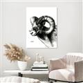 Picture of Sketched Ram _GroupedProduct_Rectangle_Portrait_Unframed_Print_Only_