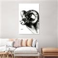 Picture of Sketched Ram _GroupedProduct_Rectangle_Portrait_Unframed_Print_Only_