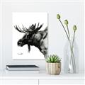 Picture of Sketched Moose _GroupedProduct_Rectangle_Portrait_Unframed_Print_Only_