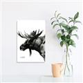 Picture of Sketched Moose _GroupedProduct_Rectangle_Portrait_Unframed_Print_Only_