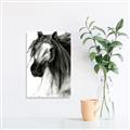 Picture of Sketched Horse _GroupedProduct_Rectangle_Portrait_Unframed_Print_Only_