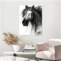 Picture of Sketched Horse _GroupedProduct_Rectangle_Portrait_Unframed_Print_Only_