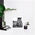 Picture of Zebra Watching _GroupedProduct_Square_Unframed_Print_Only_