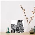Picture of Zebra Watching _GroupedProduct_Square_Unframed_Print_Only_