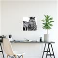 Picture of Zebra Watching _GroupedProduct_Square_Unframed_Print_Only_