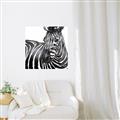 Picture of Zebra Watching _GroupedProduct_Square_Unframed_Print_Only_