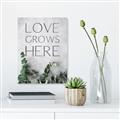 Picture of Love grows here _GroupedProduct_Rectangle_Portrait_Unframed_Print_Only_