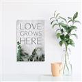 Picture of Love grows here _GroupedProduct_Rectangle_Portrait_Unframed_Print_Only_