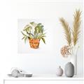 Picture of Palm Plant _GroupedProduct_Square_Unframed_Print_Only_