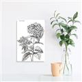 Picture of Hydrangea Sketch  _GroupedProduct_Rectangle_Portrait_Unframed_Print_Only_