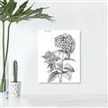 Picture of Hydrangea Sketch  _GroupedProduct_Rectangle_Portrait_Unframed_Print_Only_