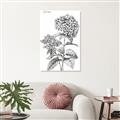 Picture of Hydrangea Sketch  _GroupedProduct_Rectangle_Portrait_Unframed_Print_Only_