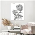 Picture of Hydrangea Sketch  _GroupedProduct_Rectangle_Portrait_Unframed_Print_Only_