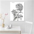 Picture of Hydrangea Sketch  _GroupedProduct_Rectangle_Portrait_Unframed_Print_Only_