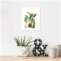 Picture of House Plants I  _GroupedProduct_Rectangle_Portrait_Unframed_Print_Only_