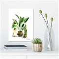 Picture of House Plants I  _GroupedProduct_Rectangle_Portrait_Unframed_Print_Only_