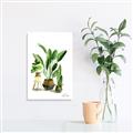 Picture of House Plants I  _GroupedProduct_Rectangle_Portrait_Unframed_Print_Only_