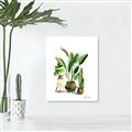 Picture of House Plants I  _GroupedProduct_Rectangle_Portrait_Unframed_Print_Only_