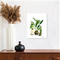 Picture of House Plants I  _GroupedProduct_Rectangle_Portrait_Unframed_Print_Only_