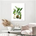 Picture of House Plants I  _GroupedProduct_Rectangle_Portrait_Unframed_Print_Only_