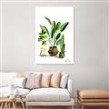 Picture of House Plants I  _GroupedProduct_Rectangle_Portrait_Unframed_Print_Only_