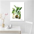 Picture of House Plants I  _GroupedProduct_Rectangle_Portrait_Unframed_Print_Only_