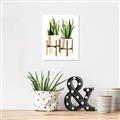Picture of House Plants II  _GroupedProduct_Rectangle_Portrait_Unframed_Print_Only_