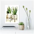 Picture of House Plants II  _GroupedProduct_Rectangle_Portrait_Unframed_Print_Only_