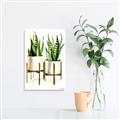 Picture of House Plants II  _GroupedProduct_Rectangle_Portrait_Unframed_Print_Only_