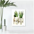 Picture of House Plants II  _GroupedProduct_Rectangle_Portrait_Unframed_Print_Only_