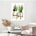 Picture of House Plants II  _GroupedProduct_Rectangle_Portrait_Unframed_Print_Only_