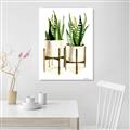 Picture of House Plants II  _GroupedProduct_Rectangle_Portrait_Unframed_Print_Only_