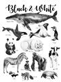 Picture of Black and white Animals _GroupedProduct_Rectangle_Portrait_Unframed_Print_Only_